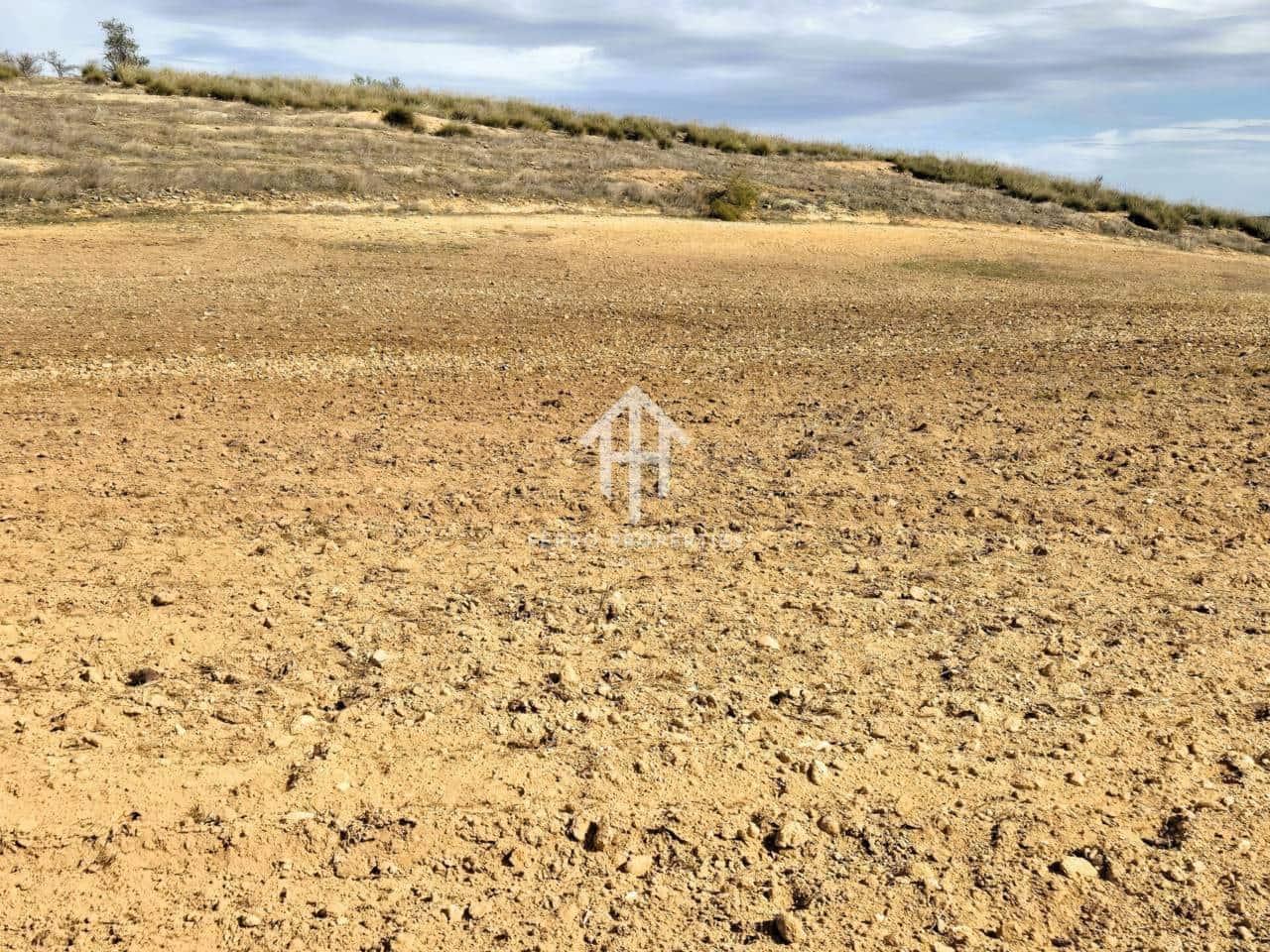 Finca/Landehus til salg i Castillo Tajarja - € 4.200.000 (Ref: 9152578)