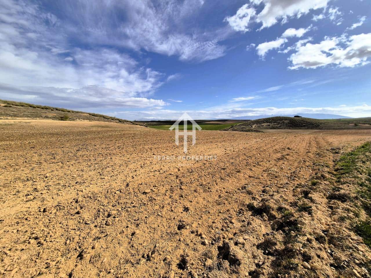 Finca/Landehus til salg i Castillo Tajarja - € 4.200.000 (Ref: 9152578)