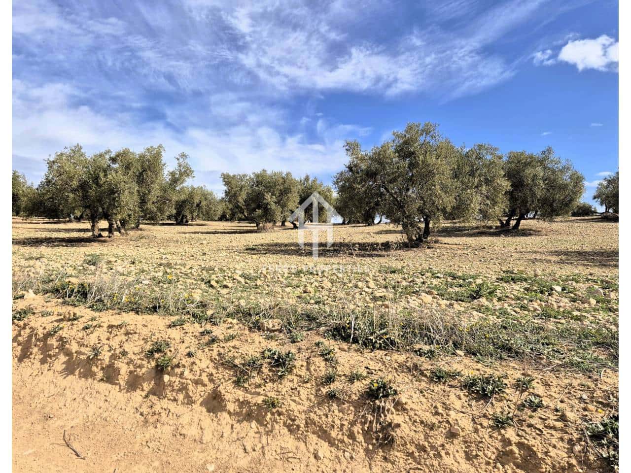 Finca/Landehus til salg i Castillo Tajarja - € 4.200.000 (Ref: 9152578)