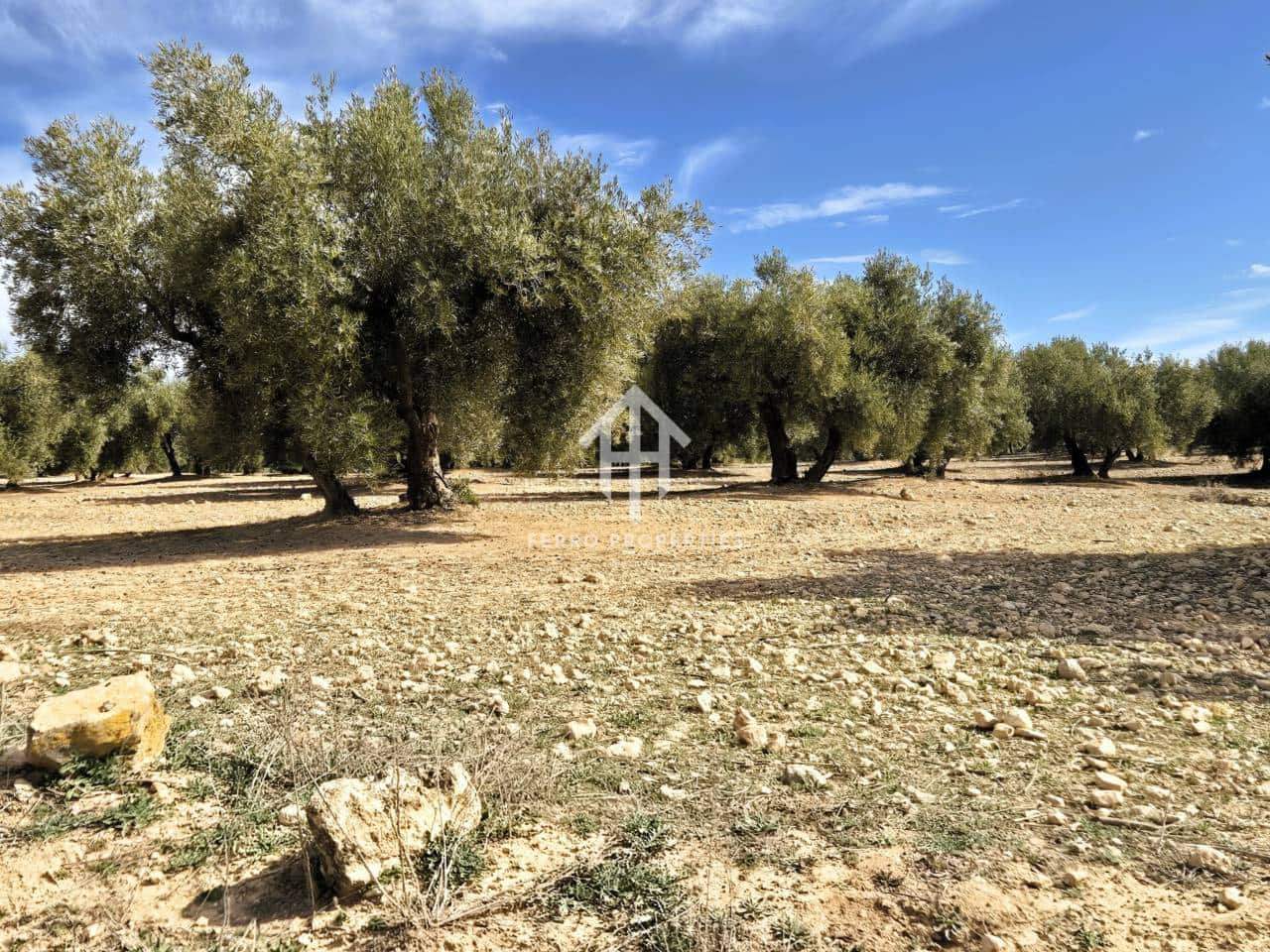 Finca/Landehus til salg i Castillo Tajarja - € 4.200.000 (Ref: 9152578)