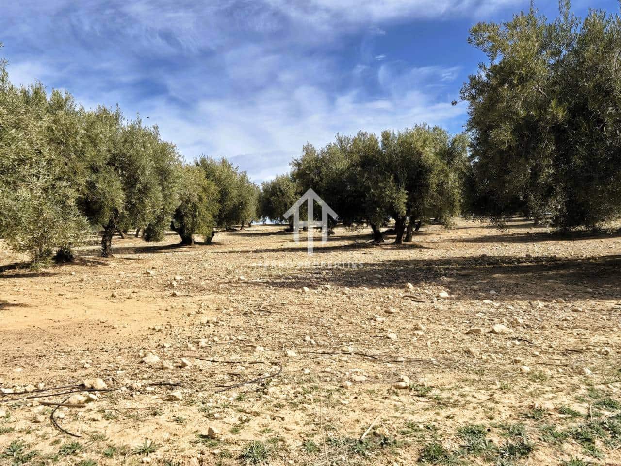 Finca/Landehus til salg i Castillo Tajarja - € 4.200.000 (Ref: 9152578)