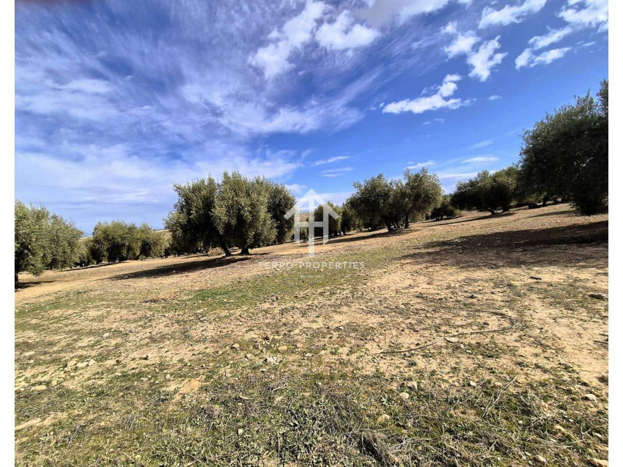 Finca/Landehus til salg i Castillo Tajarja - € 4.200.000 (Ref: 9152578)