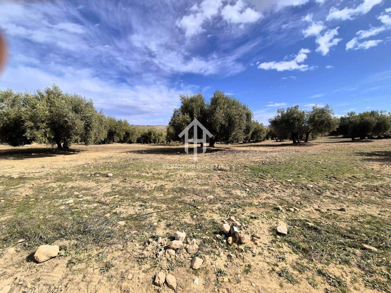 Finca/Landehus til salg i Castillo Tajarja - € 4.200.000 (Ref: 9152578)