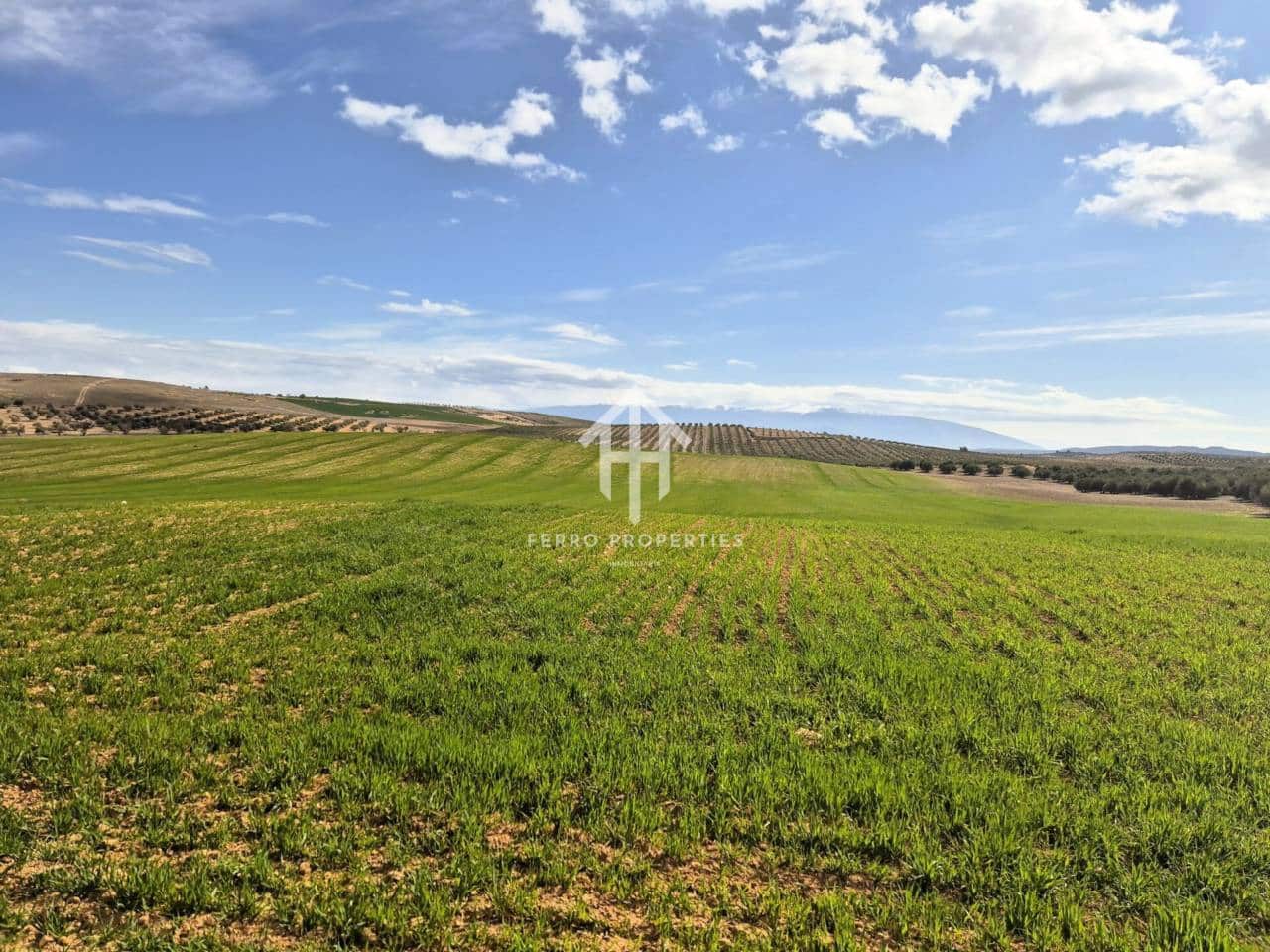 Finca/Landehus til salg i Castillo Tajarja - € 4.200.000 (Ref: 9152578)