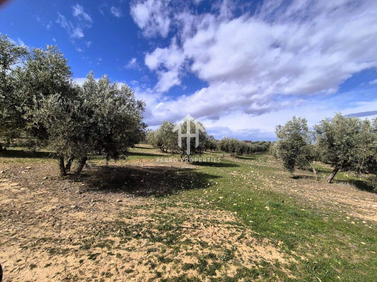 Finca/Landehus til salg i Castillo Tajarja - € 4.200.000 (Ref: 9152578)