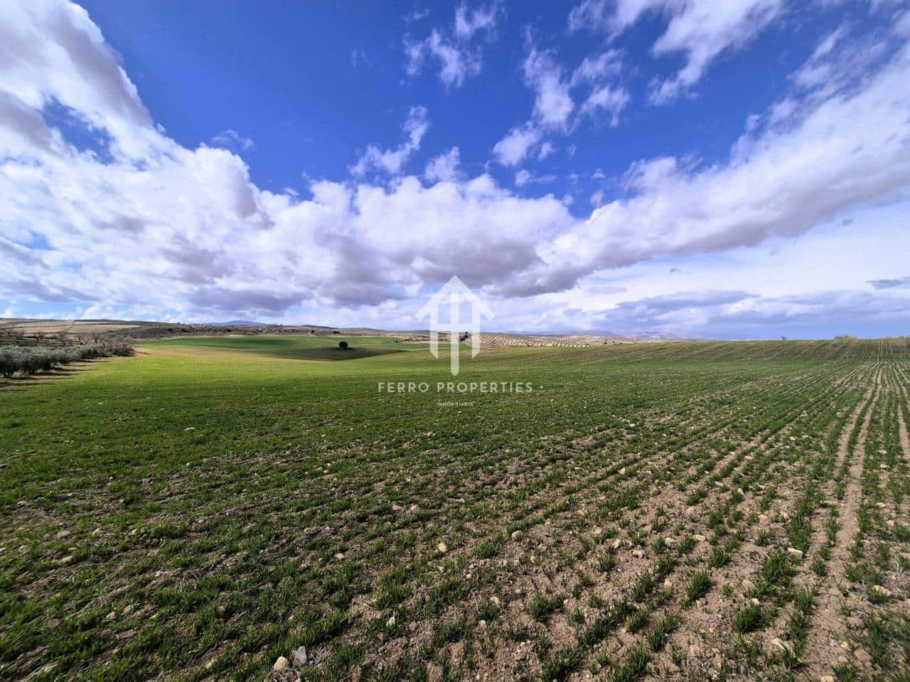 Finca/Landehus til salg i Castillo Tajarja - € 4.200.000 (Ref: 9152578)