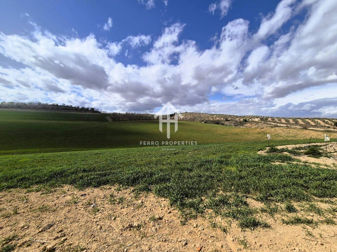 Finca/Landehus til salg i Castillo Tajarja - € 4.200.000 (Ref: 9152578)