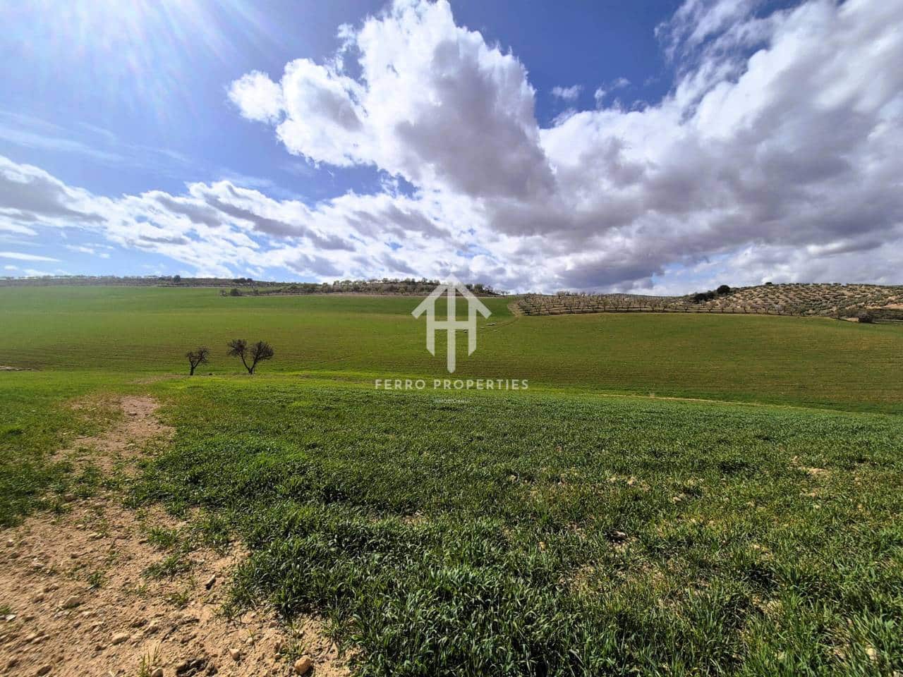 Finca/Landehus til salg i Castillo Tajarja - € 4.200.000 (Ref: 9152578)