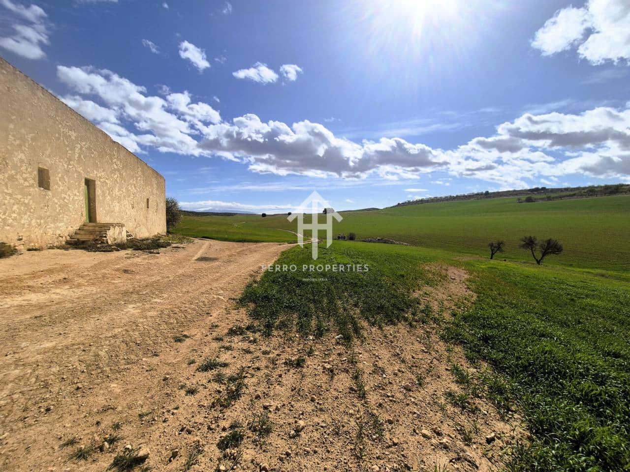 Finca/Landehus til salg i Castillo Tajarja - € 4.200.000 (Ref: 9152578)