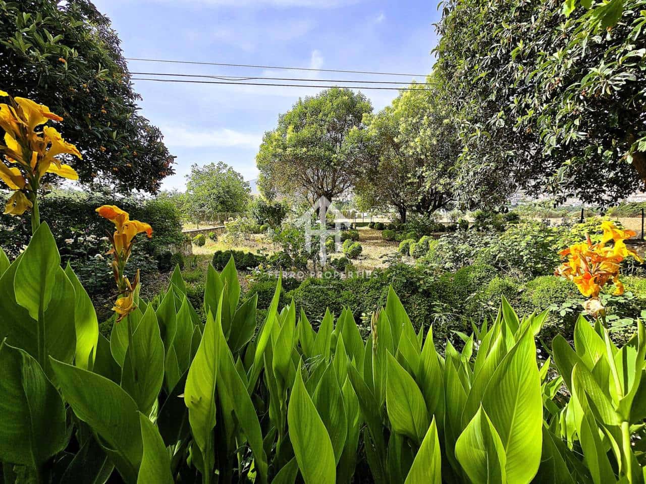 Finca/Landhuis te koop in Loja - € 550.000 (Ref: 9152579)