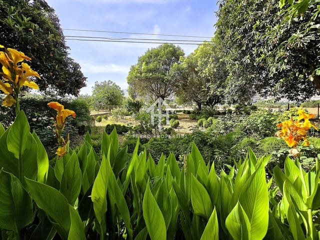 Finca/Landgut zu verkaufen in Loja - 550.000 € (Ref: 9152579)