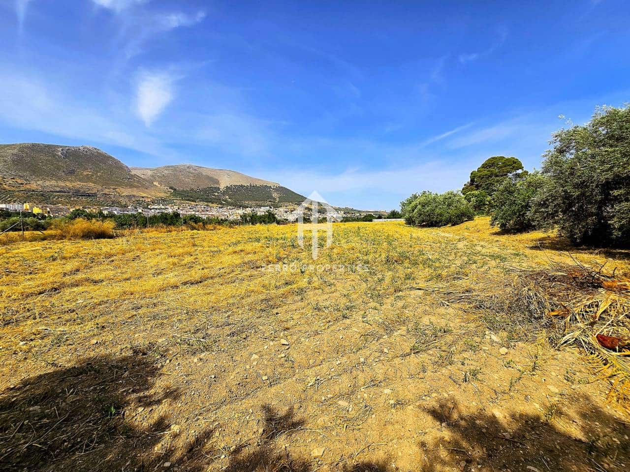 Finca/Landhuis te koop in Loja - € 550.000 (Ref: 9152579)