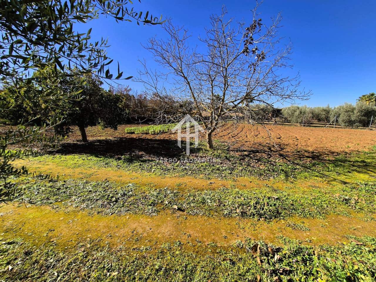 Finca/Hus på landet till salu i Moraleda de Zafayona - 94 900 € (Ref: 9152595)