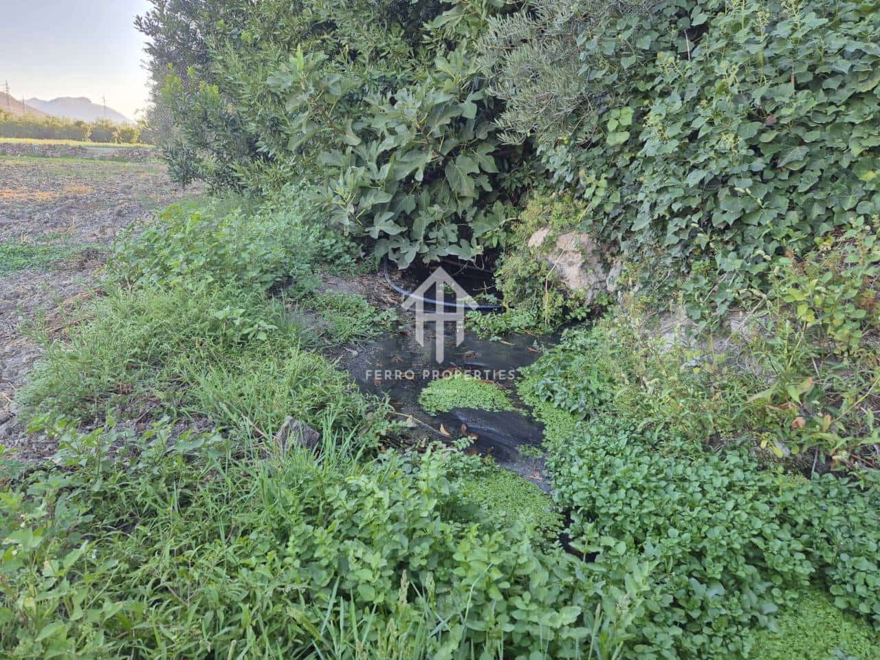 Finka/Dom wiejski na sprzedaż w Loja - 68 000 € (Ref: 9152602)