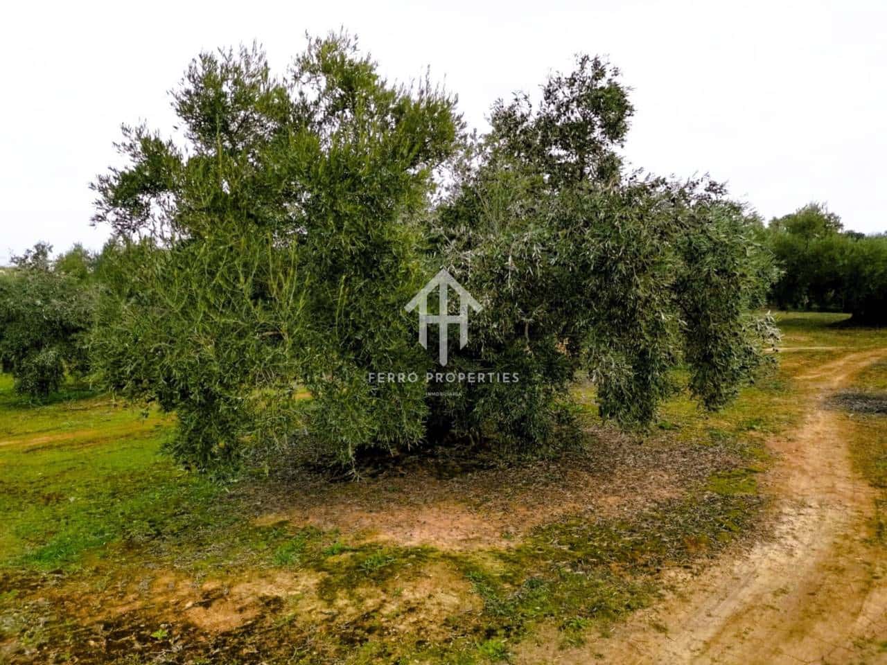 Finca/Landehus til salg i Ventorros de la Laguna - € 29.900 (Ref: 9152606)