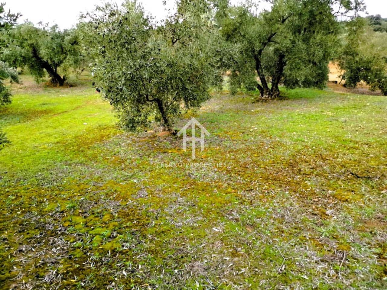 Finca/Landehus til salg i Ventorros de la Laguna - € 29.900 (Ref: 9152606)