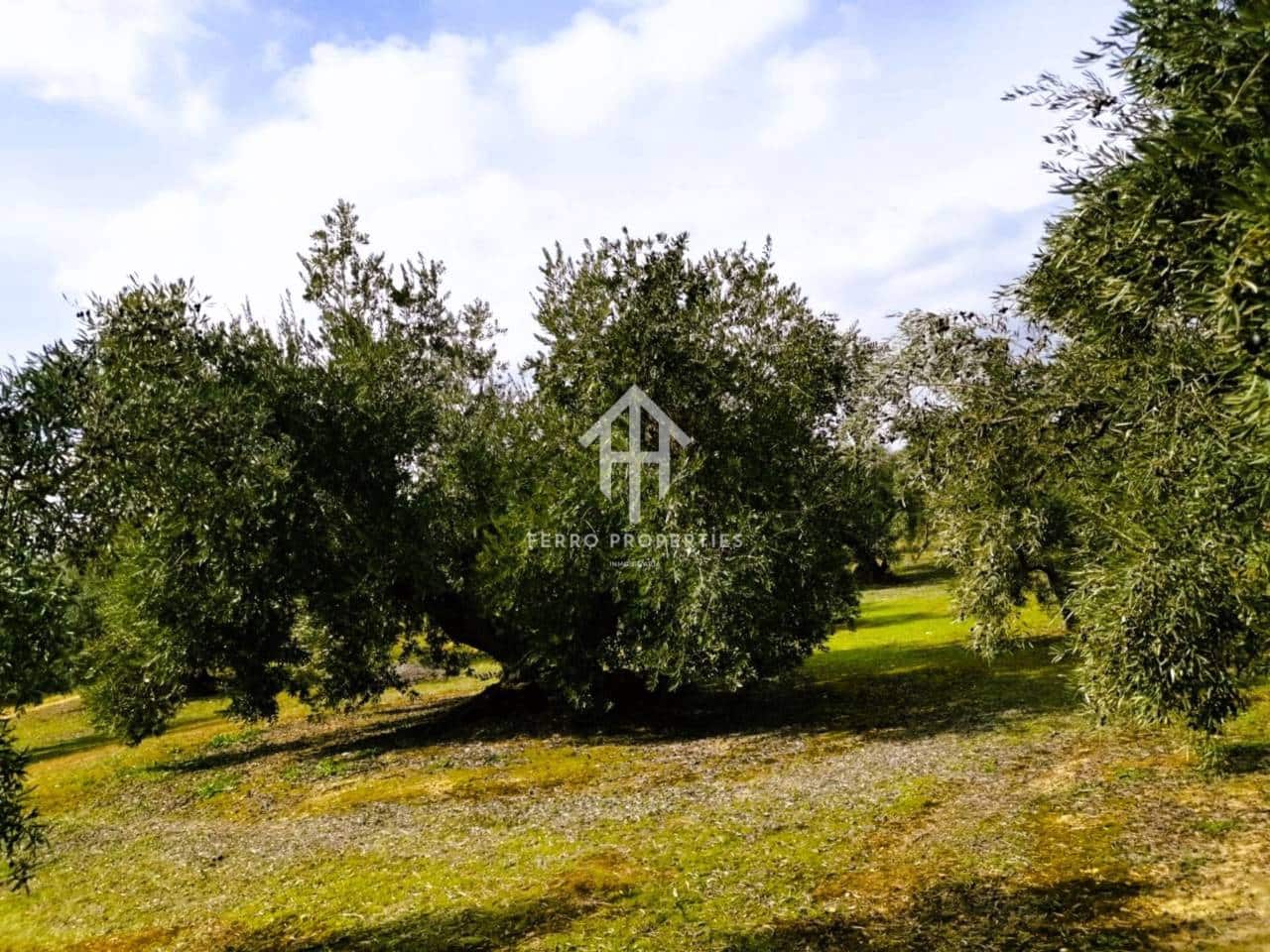Finca/Landehus til salg i Ventorros de la Laguna - € 29.900 (Ref: 9152606)