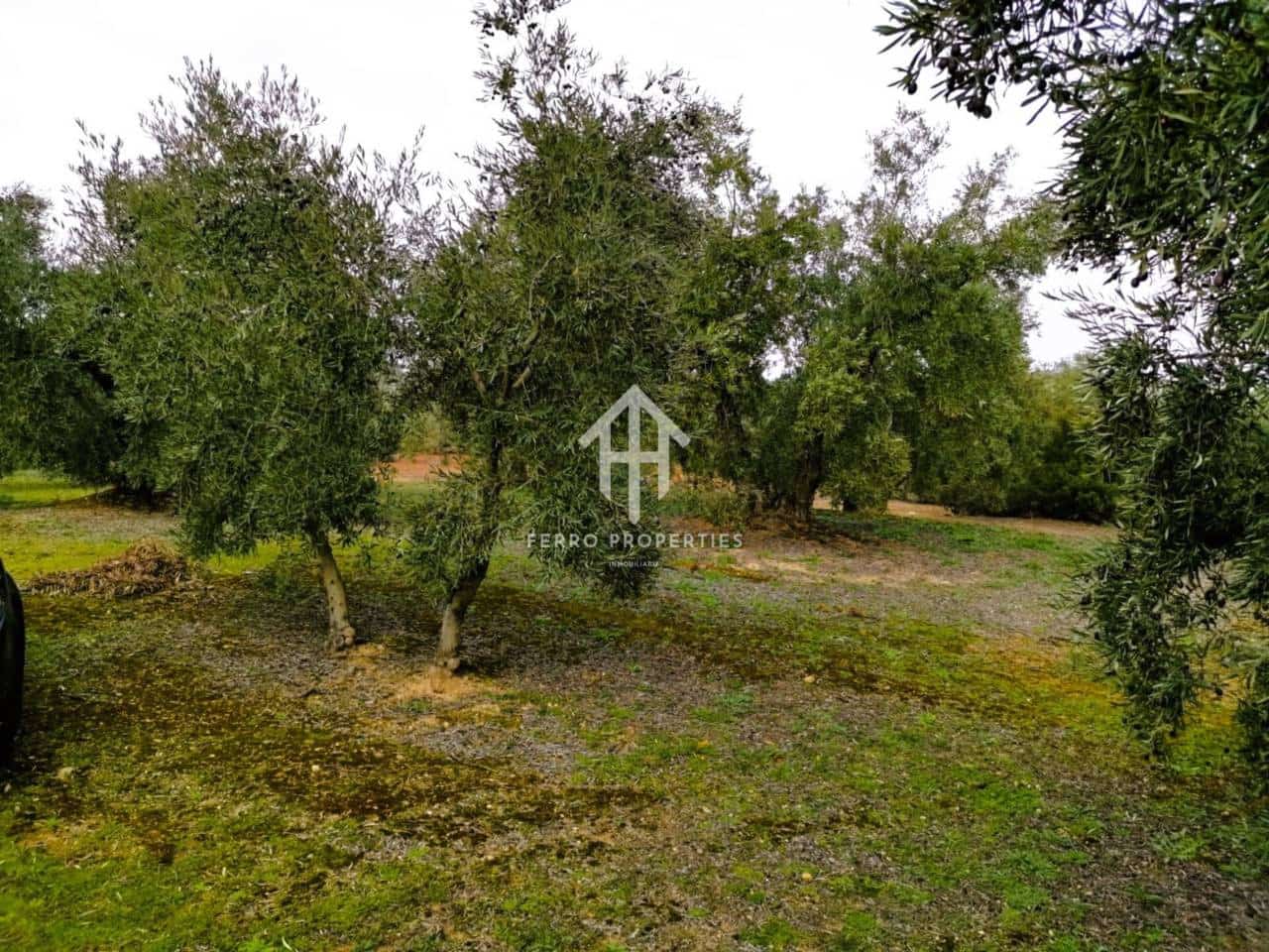 Finca/Landehus til salg i Ventorros de la Laguna - € 29.900 (Ref: 9152606)