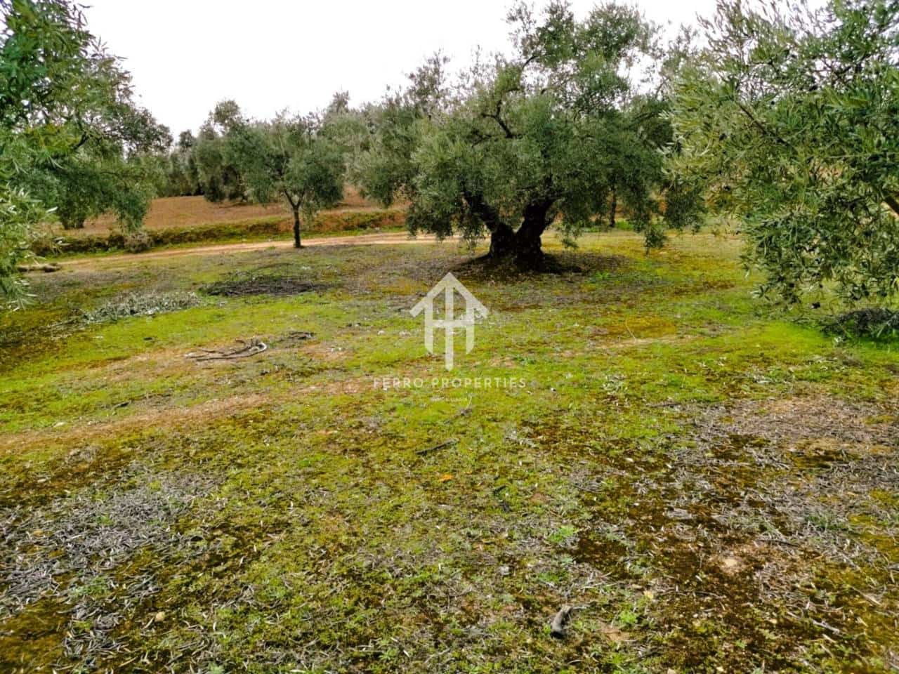 Finca/Landehus til salg i Ventorros de la Laguna - € 29.900 (Ref: 9152606)