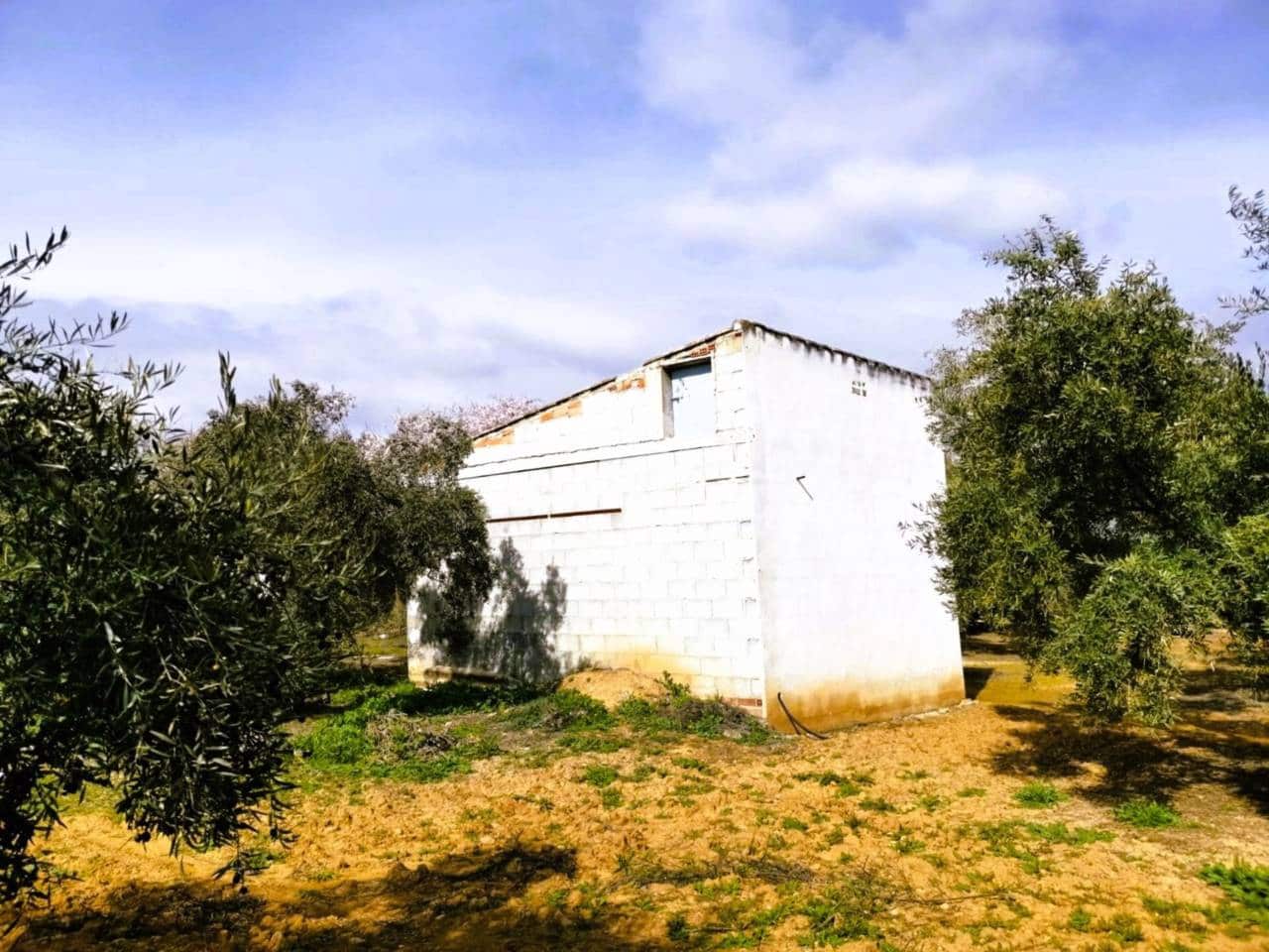 Finca/Landehus til salg i Ventorros de la Laguna - € 29.900 (Ref: 9152606)