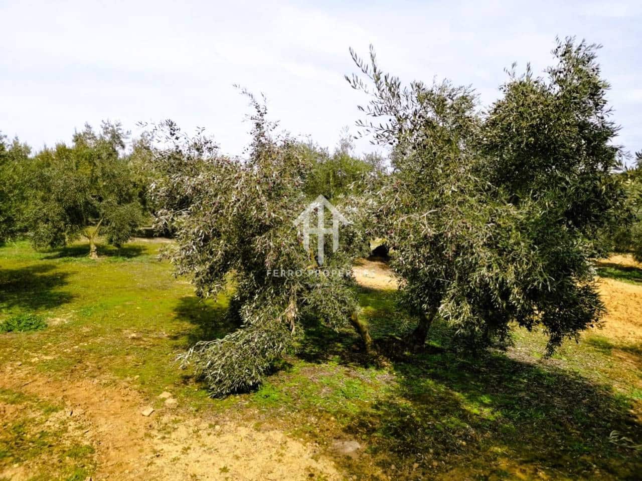 Finca/Landehus til salg i Ventorros de la Laguna - € 29.900 (Ref: 9152606)