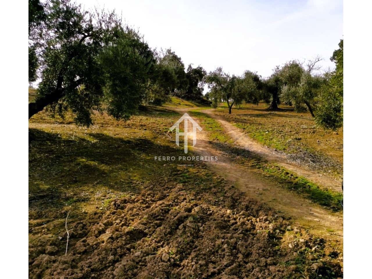 Finca/Landehus til salg i Ventorros de la Laguna - € 29.900 (Ref: 9152606)