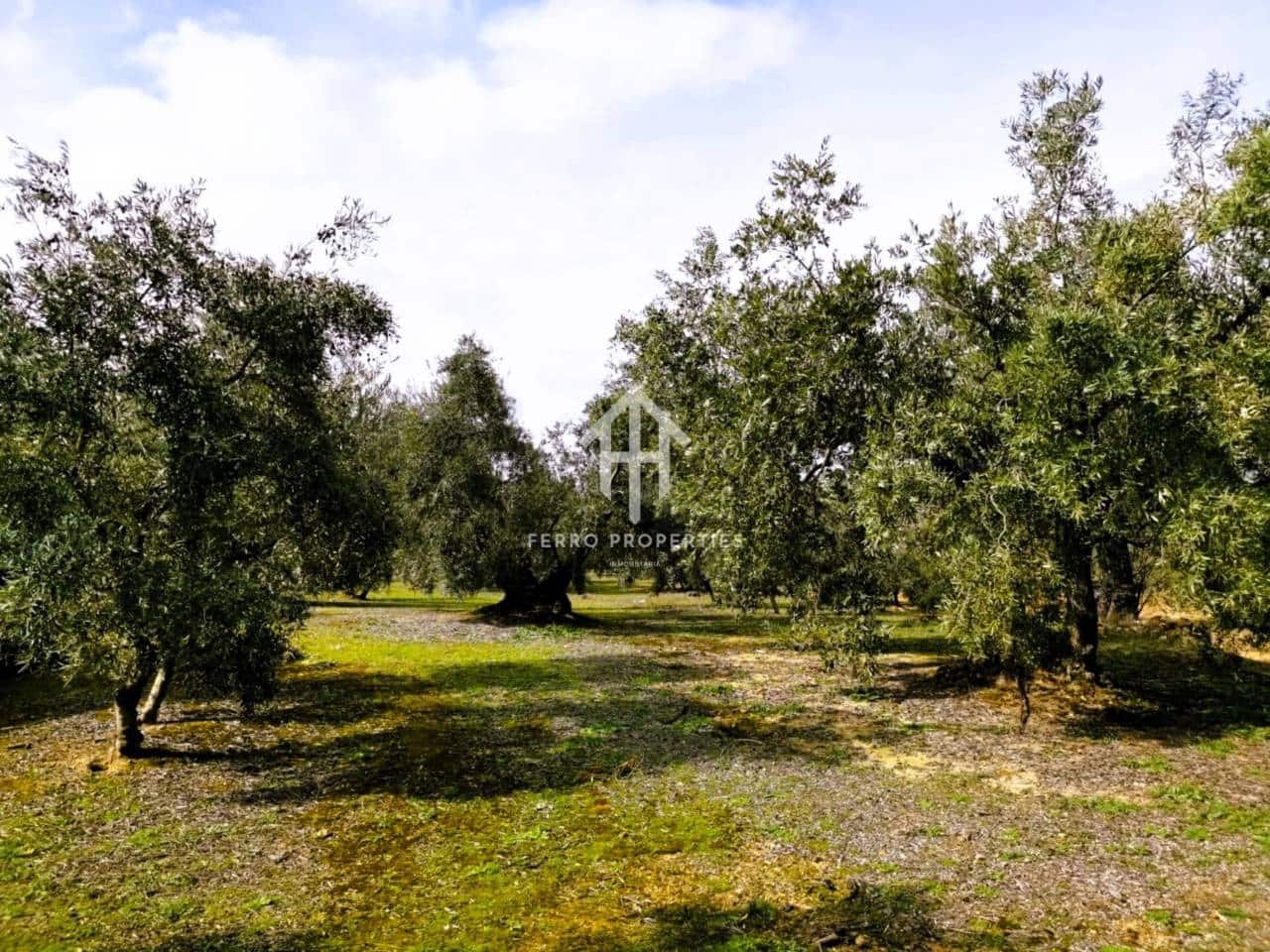 Finca/Landehus til salg i Ventorros de la Laguna - € 29.900 (Ref: 9152606)