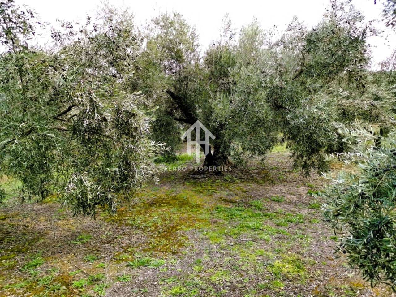 Finca/Landehus til salg i Ventorros de la Laguna - € 29.900 (Ref: 9152606)