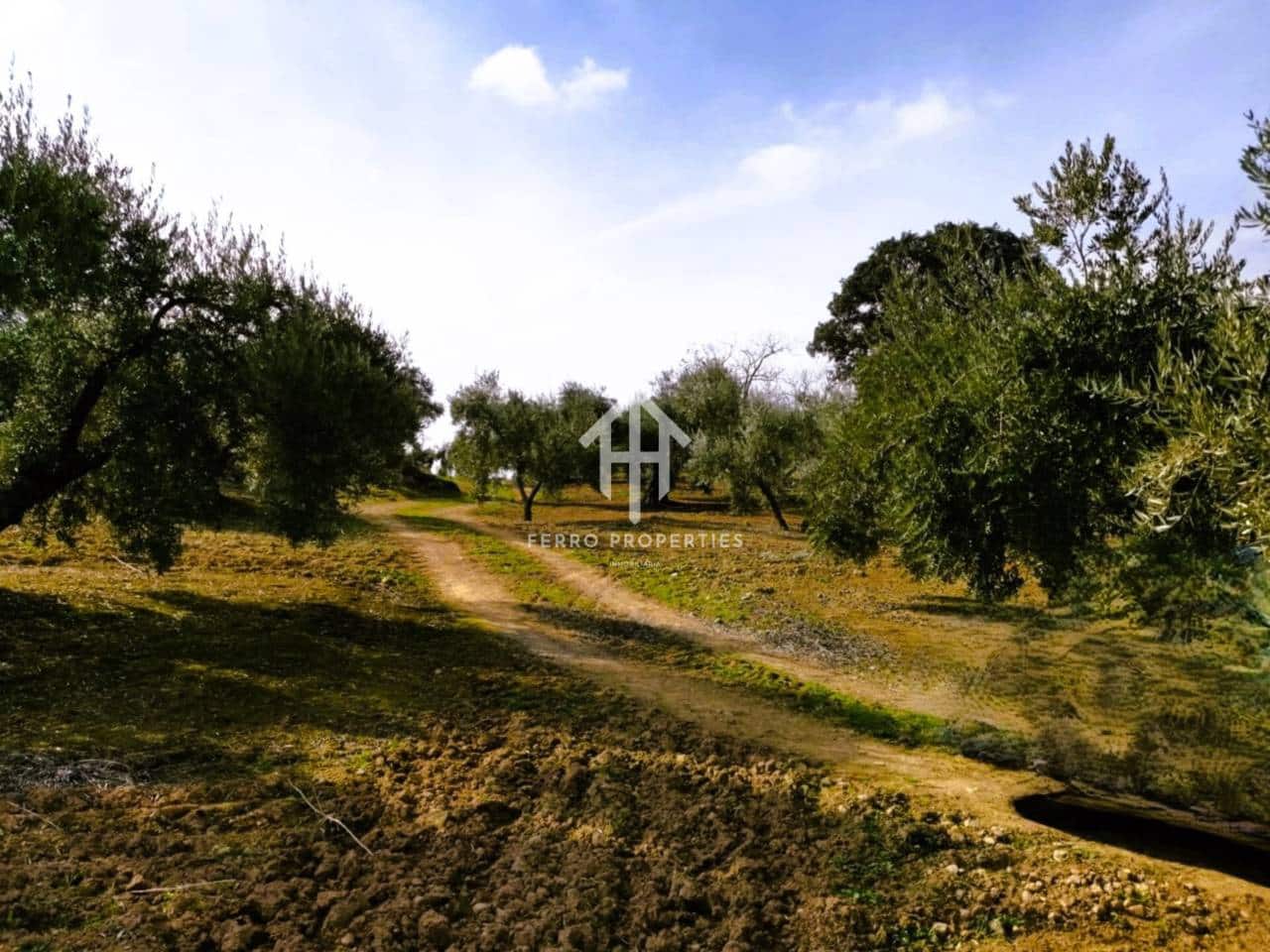 Finca/Landehus til salg i Ventorros de la Laguna - € 29.900 (Ref: 9152606)