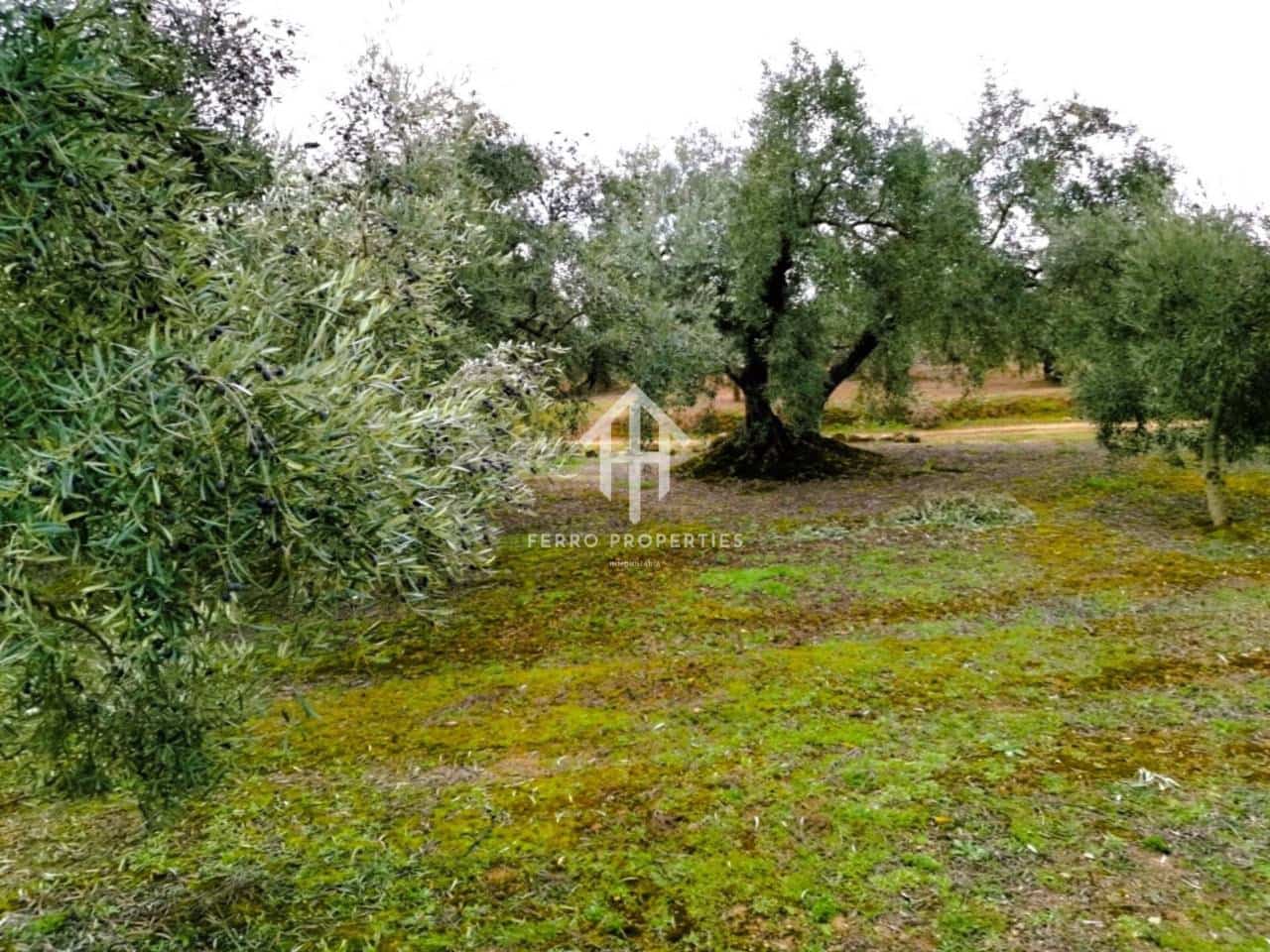 Finca/Landehus til salg i Ventorros de la Laguna - € 29.900 (Ref: 9152606)