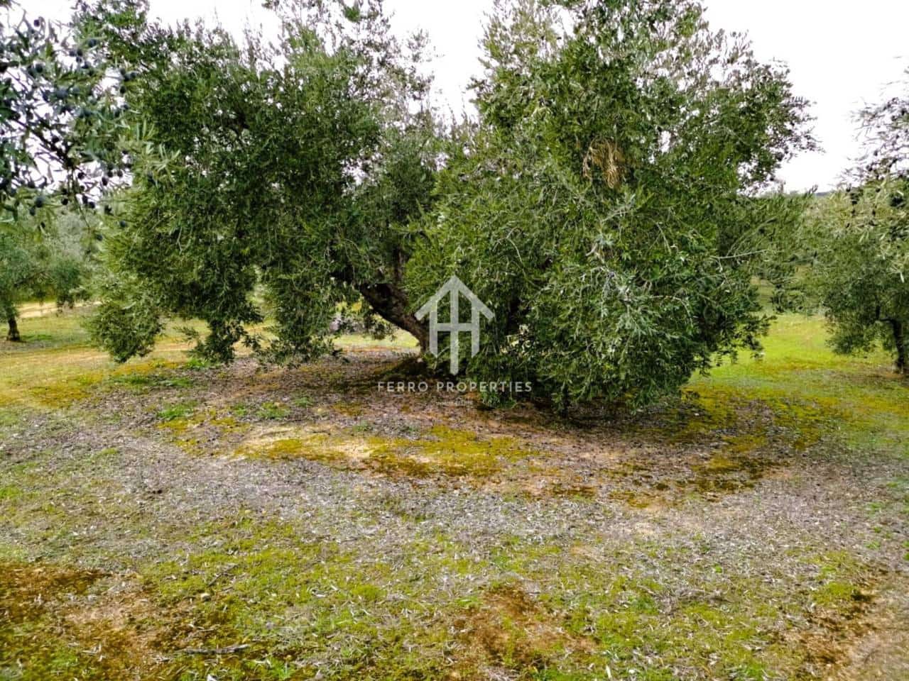 Finca/Landehus til salg i Ventorros de la Laguna - € 29.900 (Ref: 9152606)