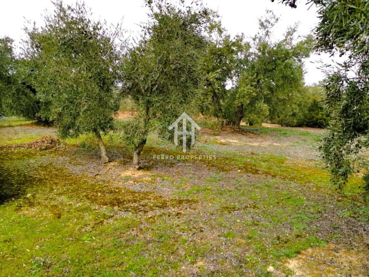 Finca/Landehus til salg i Ventorros de la Laguna - € 29.900 (Ref: 9152606)