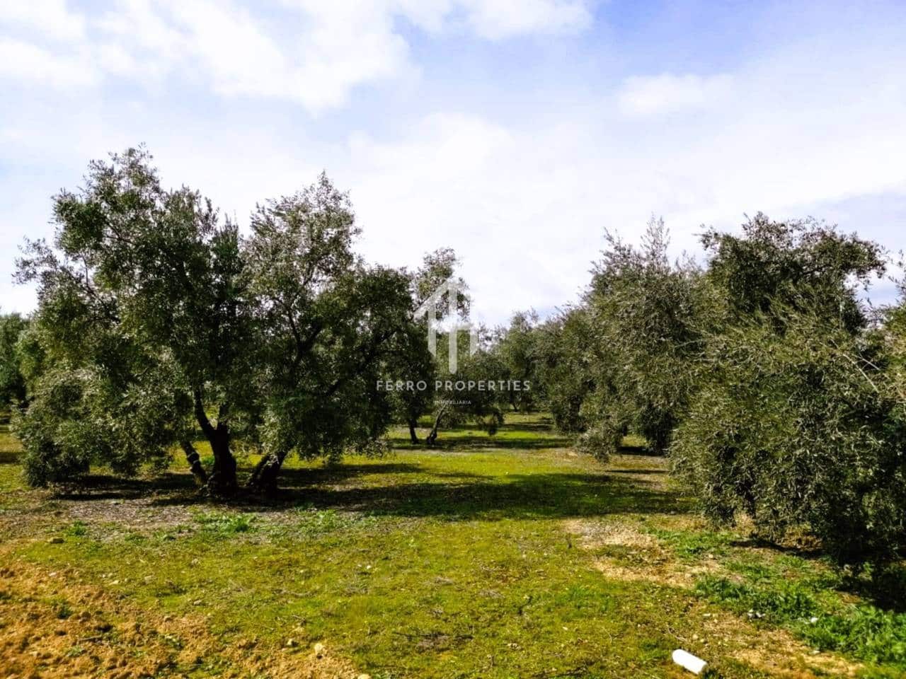 Finca/Landehus til salg i Ventorros de la Laguna - € 29.900 (Ref: 9152606)