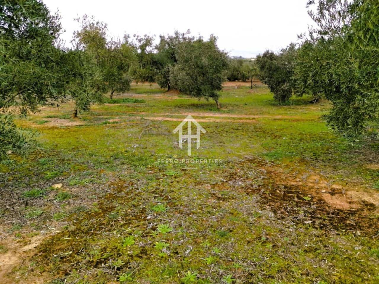Finca/Landehus til salg i Ventorros de la Laguna - € 29.900 (Ref: 9152606)