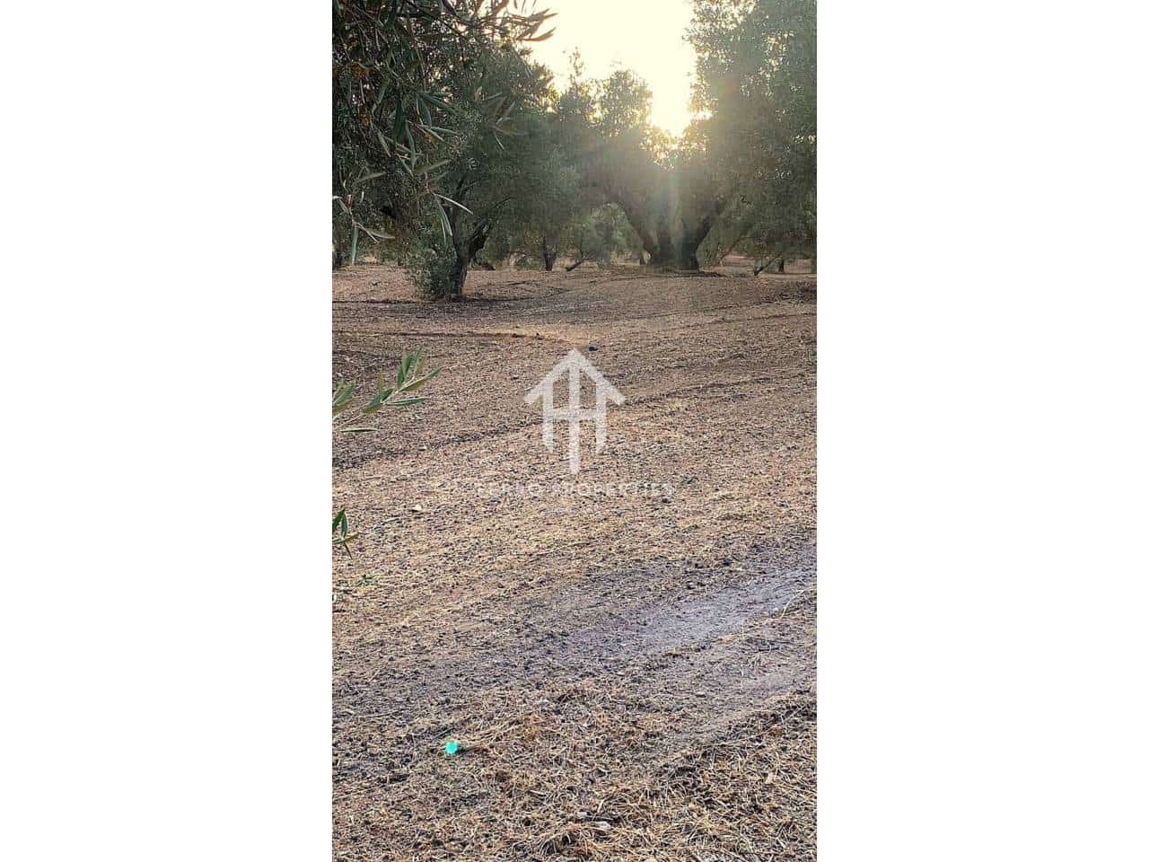 Finca/Landehus til salg i Ventorros de la Laguna - € 29.900 (Ref: 9152606)