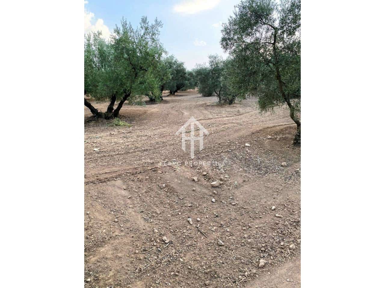 Finca/Landehus til salg i Ventorros de la Laguna - € 29.900 (Ref: 9152606)