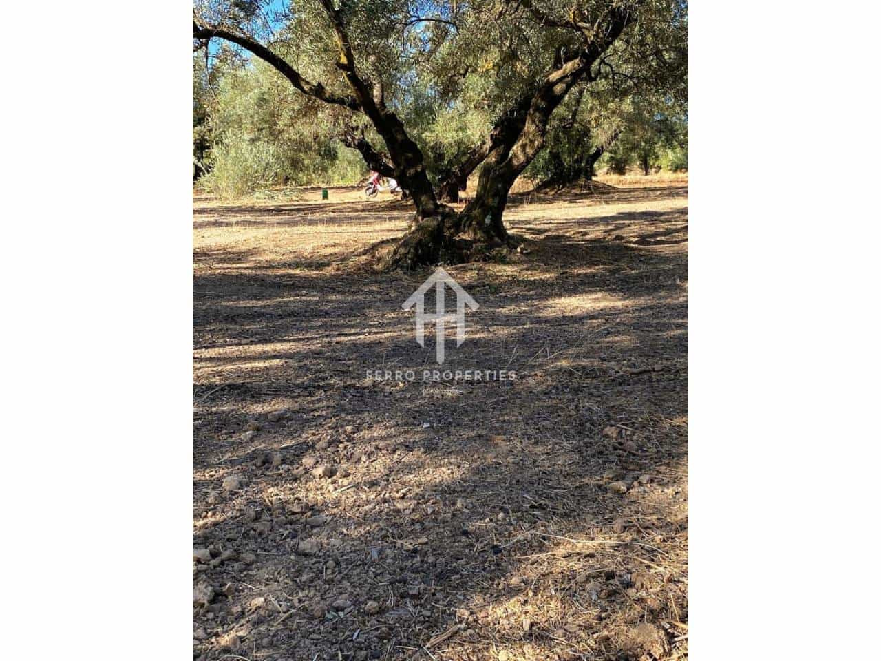 Finca/Landehus til salg i Ventorros de la Laguna - € 29.900 (Ref: 9152606)