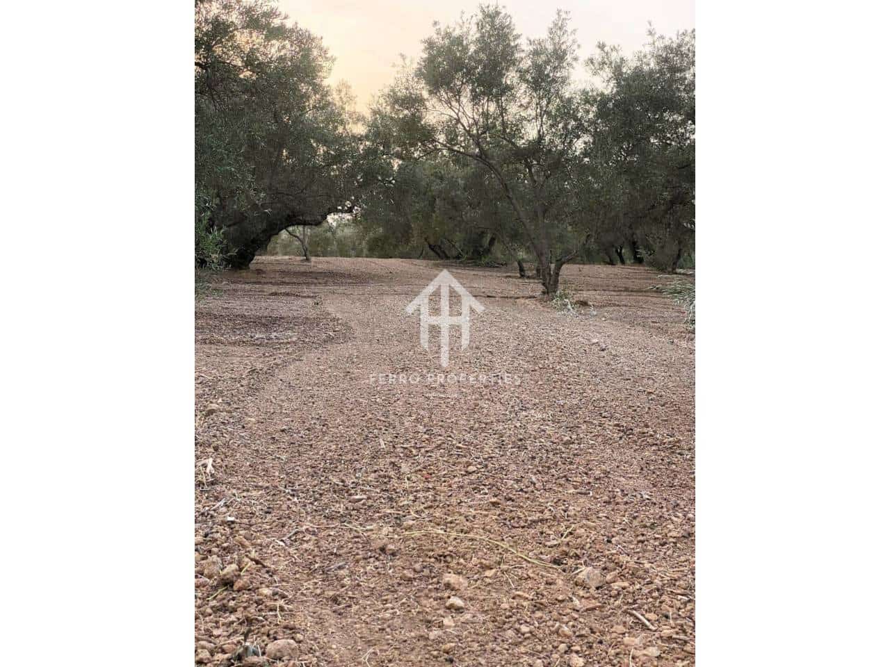 Finca/Landehus til salg i Ventorros de la Laguna - € 29.900 (Ref: 9152606)