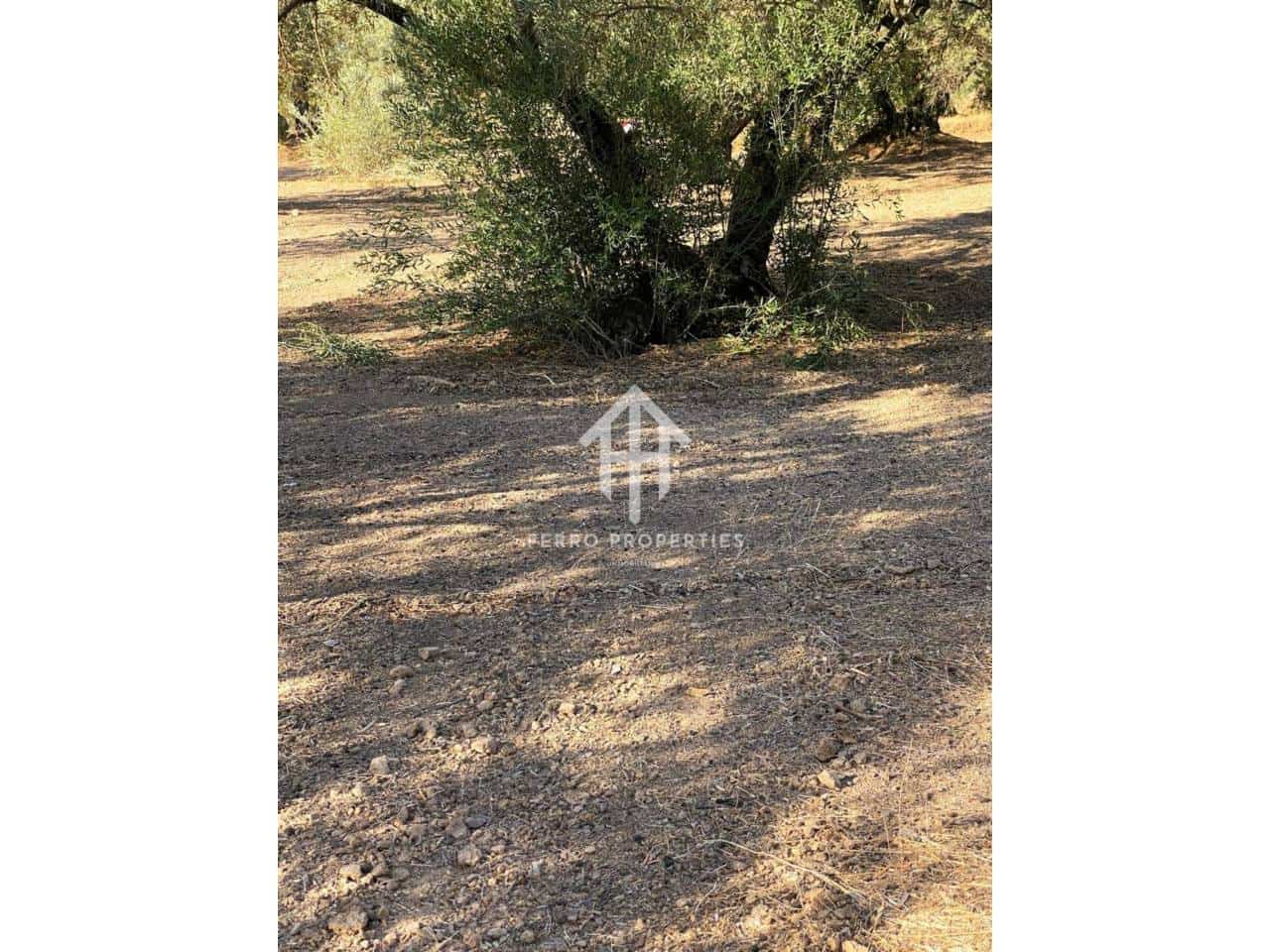 Finca/Landehus til salg i Ventorros de la Laguna - € 29.900 (Ref: 9152606)