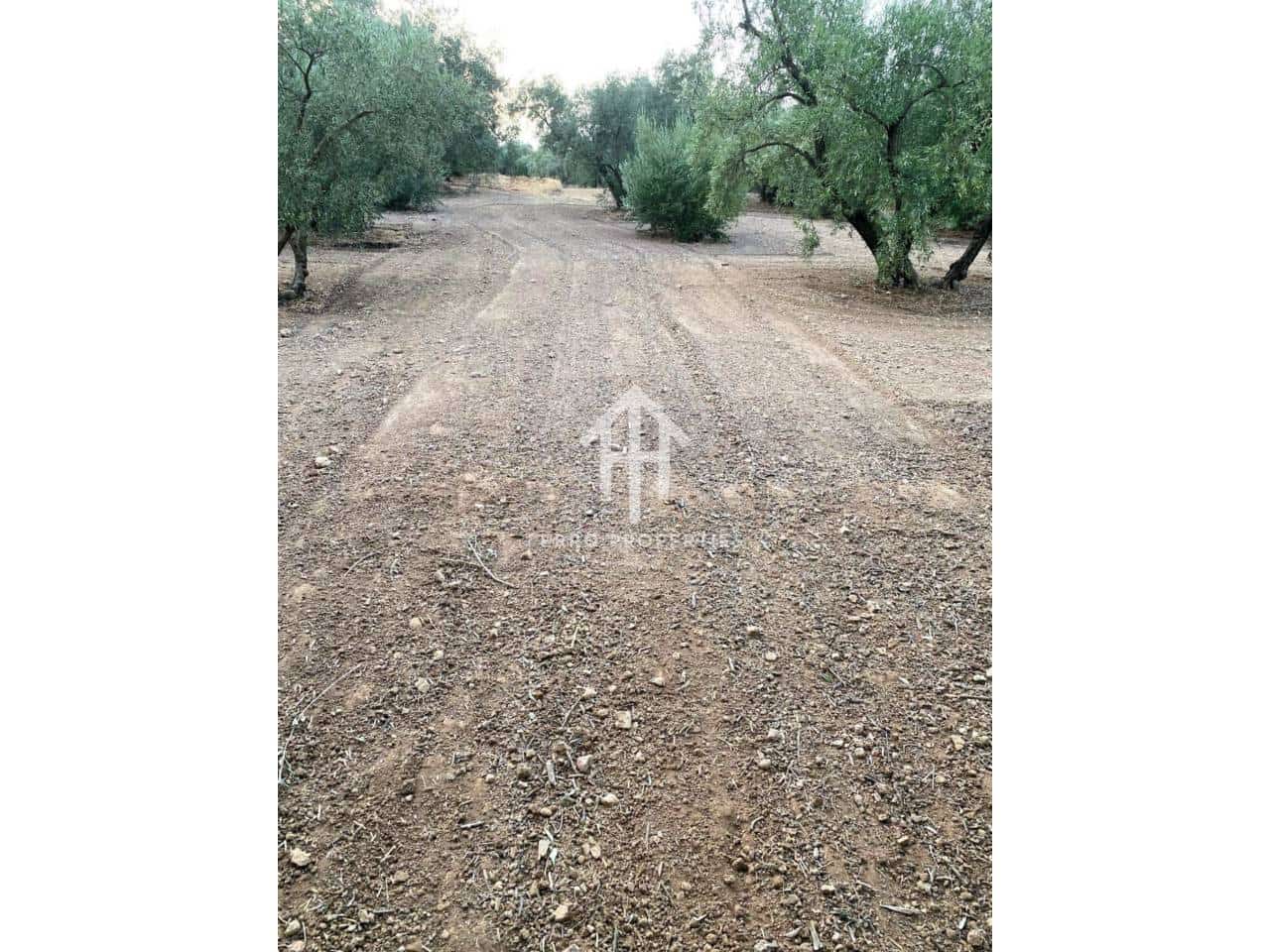 Finca/Landehus til salg i Ventorros de la Laguna - € 29.900 (Ref: 9152606)