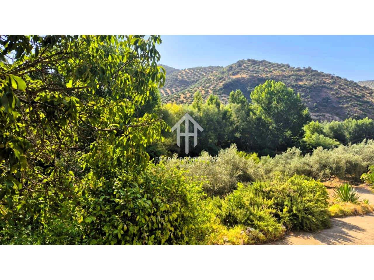 Finca/Casa Rural en Algarinejo en venta - 159.900 € (Ref: 9152620)