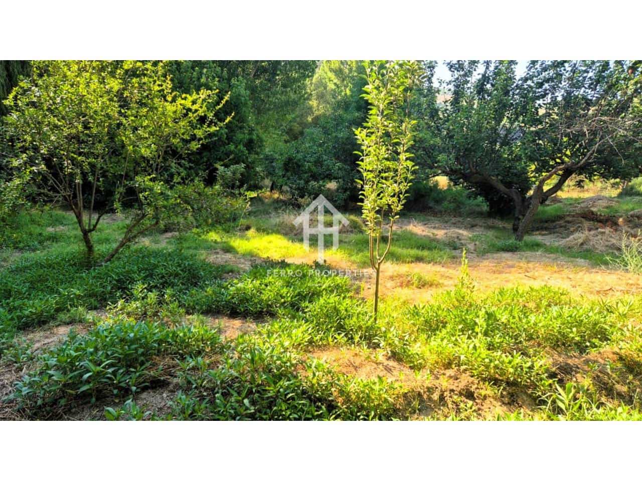 Finca/Casa Rural en Algarinejo en venta - 159.900 € (Ref: 9152620)