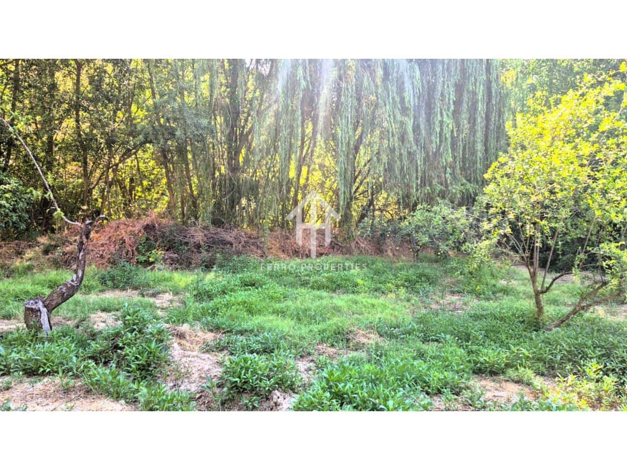 Finca/Casa Rural en Algarinejo en venta - 159.900 € (Ref: 9152620)