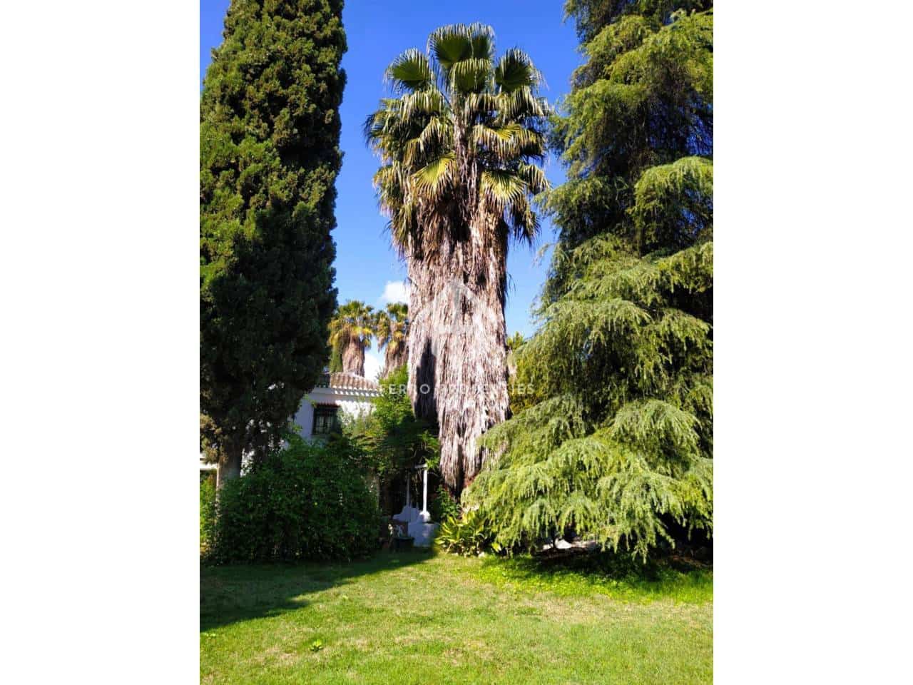 7 camera da letto Finca/Casa di Campagna in vendita in Loja con piscina garage - 875.000 € (Rif: 9152624)