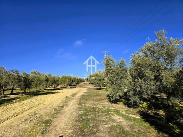 Finka/Dom wiejski na sprzedaż w Loja - 72 000 € (Ref: 9152626)