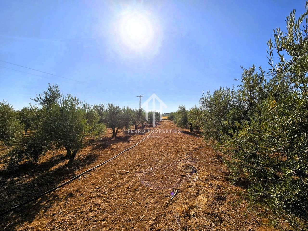 Landgrundstück zu verkaufen in Moraleda de Zafayona - 195.000 € (Ref: 9152627)