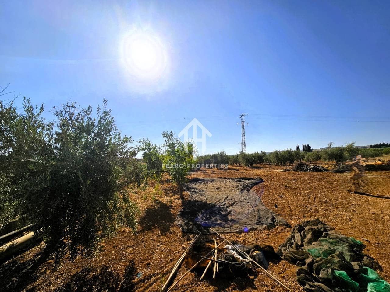 Landgrundstück zu verkaufen in Moraleda de Zafayona - 195.000 € (Ref: 9152627)