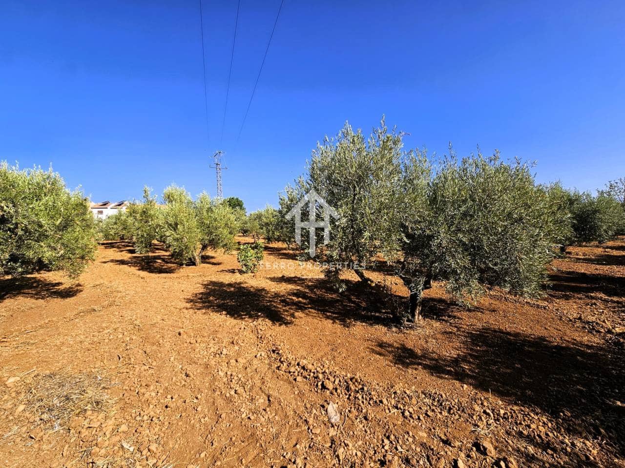 Landgrundstück zu verkaufen in Moraleda de Zafayona - 195.000 € (Ref: 9152627)