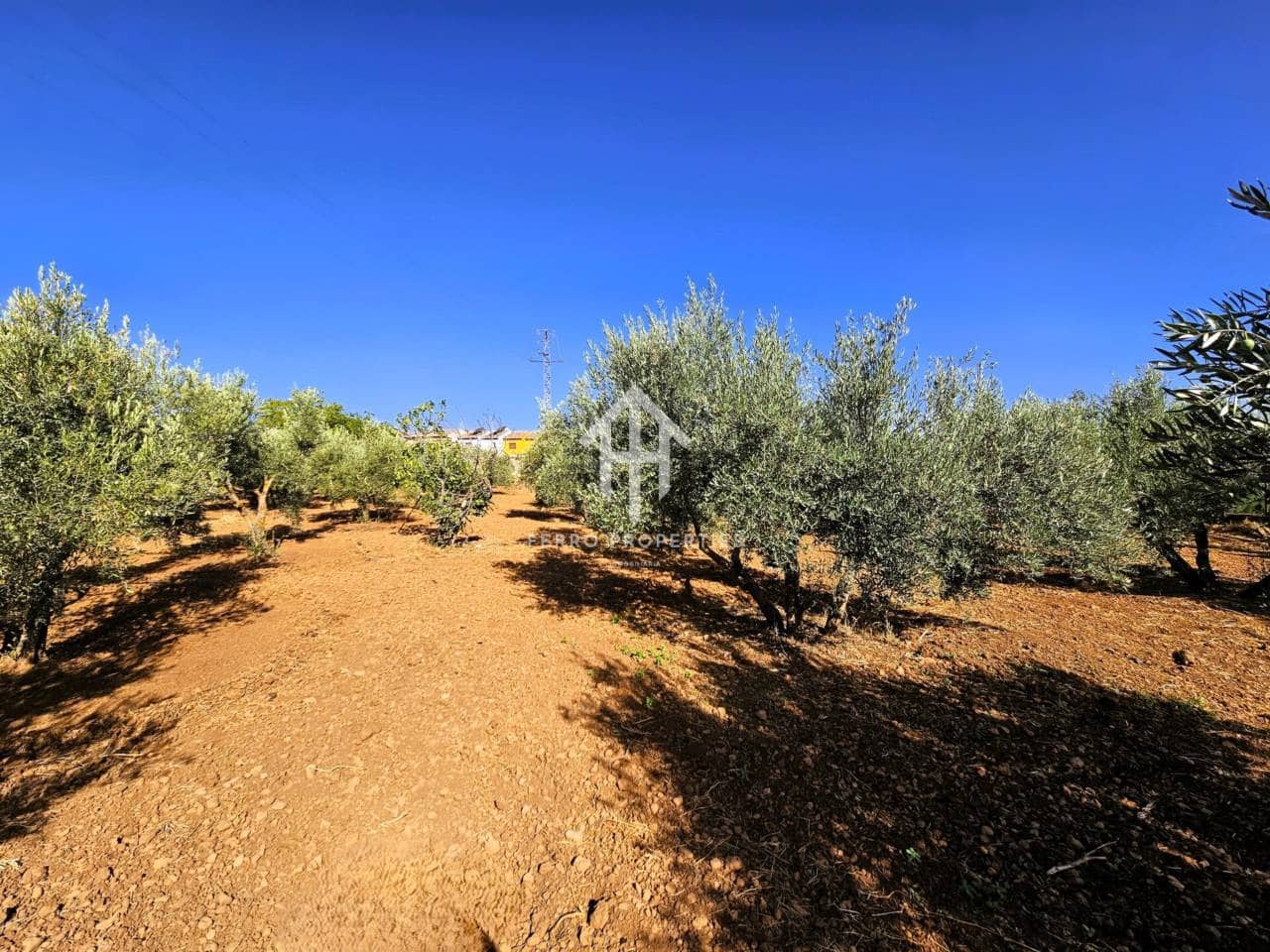 Landgrundstück zu verkaufen in Moraleda de Zafayona - 195.000 € (Ref: 9152627)