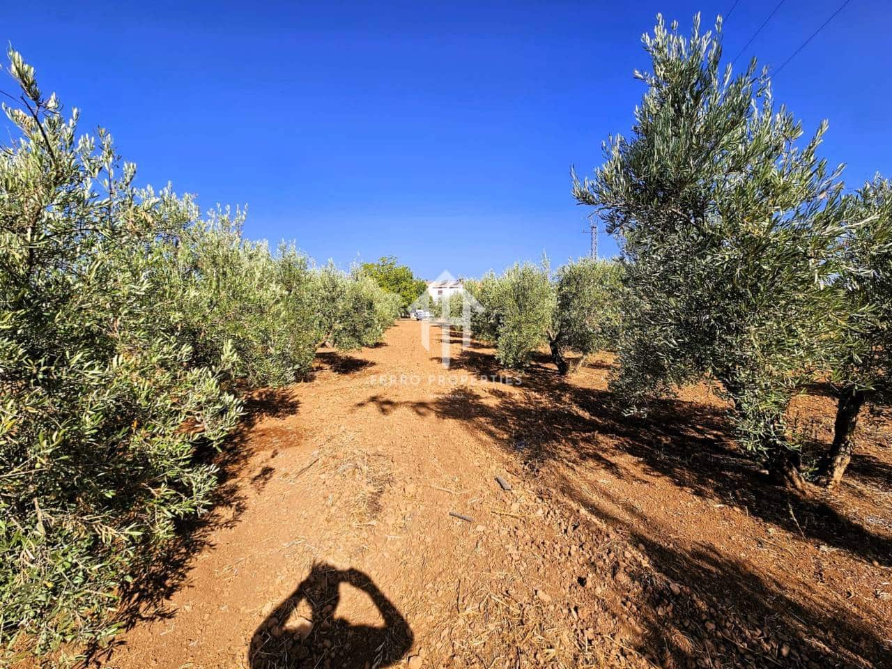 Landgrundstück zu verkaufen in Moraleda de Zafayona - 195.000 € (Ref: 9152627)